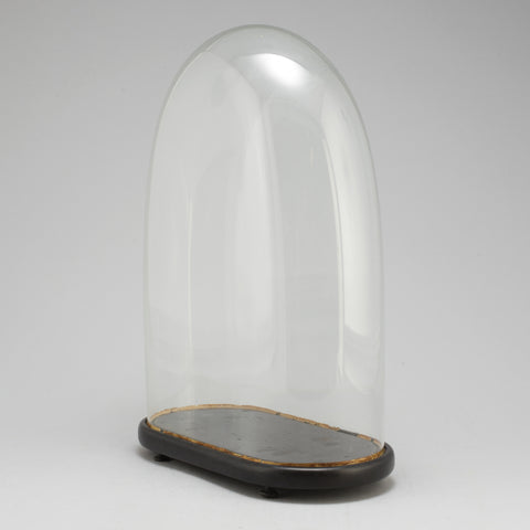 Oval Cloche Bell Display 12”x16"H Black WOOD BASE)