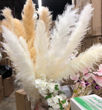 Large Cream pampas grass stem 40” tall