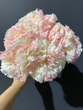 Carnation Pink Bunch