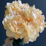 7 HEAD FABRIC ARTIFICIALchampagne PEONIES PEONY BUNCH Salmon