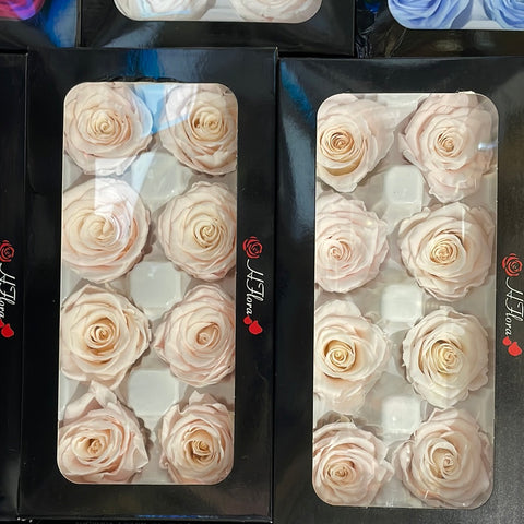 Preserved Rose Pink (box of 8)
