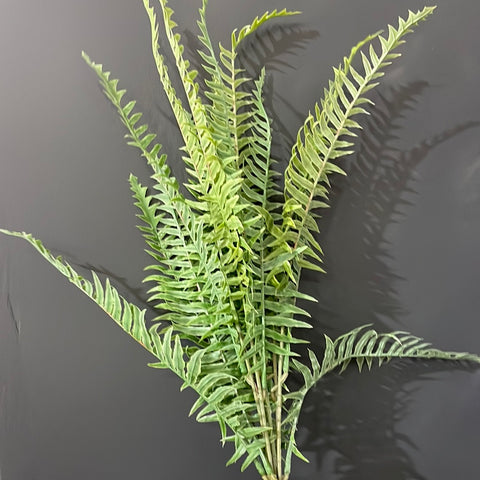 New Medium Light Green/silver Fern Bunch