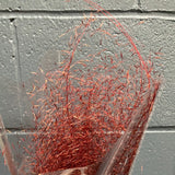 Preserved Red Dried Grass bunch 30”(50/bundle) Muhlenbergia capillaris