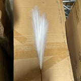 Pampas Grass Artificial single stem white