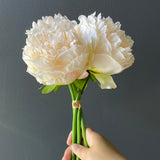 Peony Bouquet Handtied (blush)