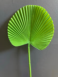 Real touch green palm (S) LEAF ARTIFICIAL Greenery