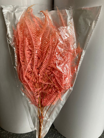 Preserved Bundle of Fern light Pink