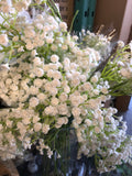 Baby’s breath Gypsophilia PVC artificial flower