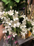 White cross Artificial Filler Flower bouvardia stephanotis