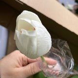 Moist Touch Tulip Bud Medium Wedding Decor (White) Single stem