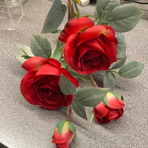 Single Stem RocoCo Rose Red