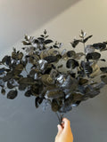 Eucalyptus leaf for Wedding home decor (Black)