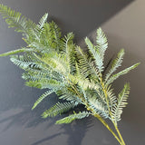 Long stem green Indian gooseberry Spray greenery