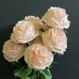 Blush puffy ROSE BUNCH