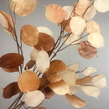 Chocolate Brown Lunaria long stem artificial flower shell