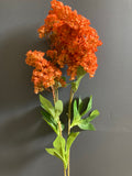 Single stem Hydrangea Orange Spray Single Stem