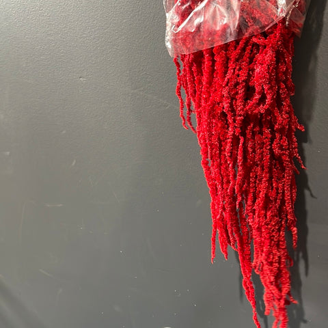 Preserved Red Amaranthus real filler greenery