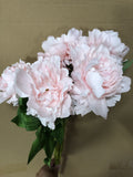 New 7 HEAD (Light pink)ARTIFICIAL PEONIES PEONY BUNCH