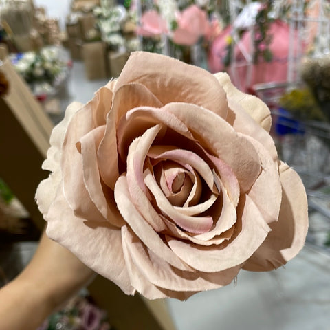 Rococco Roses Coffee Single Stem RocoCo Rose