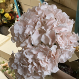Marshmallow pink powder pink Hydrangea Bunch 6 head silk