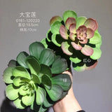 Real Touch Succulent artificial flower leaf wedding greenery 0181-120220  (bush)-REA-6
