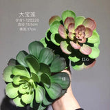 Real Touch Succulent artificial flower leaf wedding greenery 0181-120220  (Sedium)-REA-8