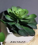 Real Touch Succulent artificial flower leaf wedding greenery 0181-120220  (Button fern bush)-REA-3