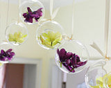 Hanging Glass Vase 6" Round Planter Bubble Ceiling decor - Richview Glass Wedding Supplies