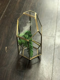 GEOMETRIC 9" PLANTER GLASS TERRARIUM VASE (Gold)- GEO1 - Richview Glass Wedding Supplies